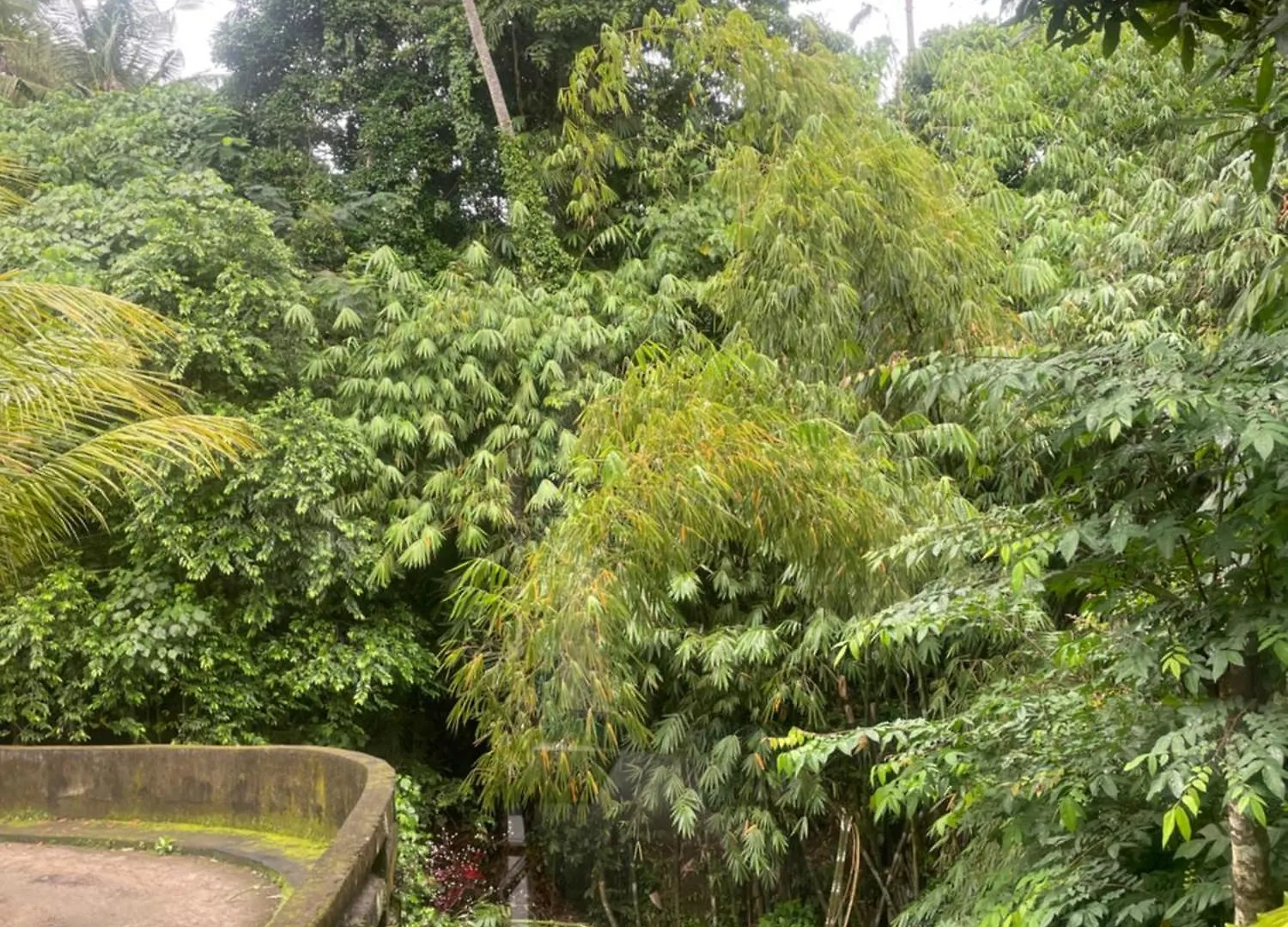 Central House 2 Floor Ubud  Indonesia
